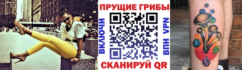 KRAKEN как зайти  купить   Галич  Псилоцибиновые грибы Psilocybe 